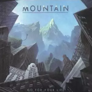 MOUNTAIN / マウンテン / GO FOR YOUR LIFE / 風林火山