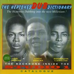 HEPTONES / ヘプトーンズ / DUB DICTIONARY