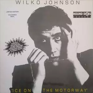 ミュージック DVD Wilko Johnson Tokyo Session 2013 ウィルコ・ジョンソン・トーキョー・セッション2013(DVD + T