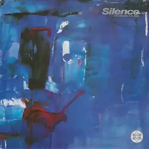 SILENCE (NAMLOOK) / SILENCE