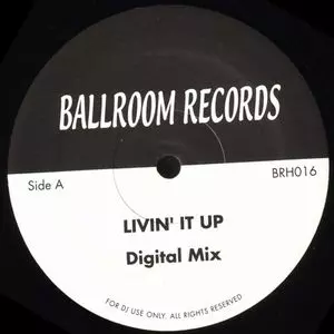 BELL & JAMES / LIVIN'IT UP + VOICE INSIDE MY HEAD