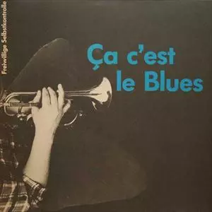 F.S.K. (FREIWILLIGE SELBSTKONTROLLE)商品一覧｜SOUL / BLUES