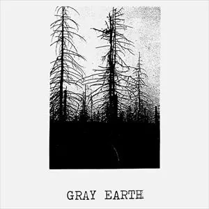 ACID / アシッド(J-POP) / GRAY EARTH