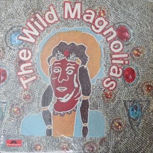 The Wild Magnolias レコード US盤 ワイルド・マグノリアス - 洋楽