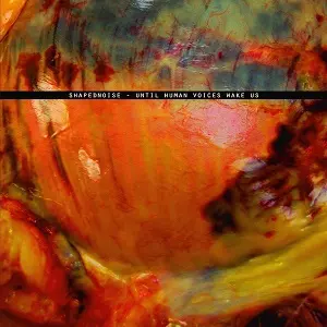 SHAPEDNOISE / UNTIL HUMAN VOICES WAKE US