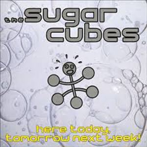 SUGARCUBES / シュガーキューブス / HERE TODAY, TOMORROW NEXT WEEK!