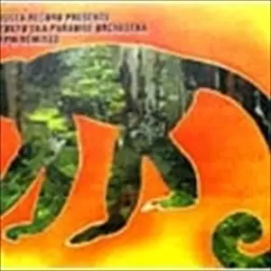 美しく燃える森 FPM REMIXES/TOKYO SKA PARADISE ORCHESTRA/東京スカ