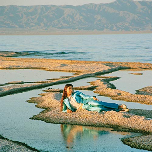 WEYES BLOOD / ワイズ・ブラッド / FRONT ROW SEAT TO EARTH (LP)