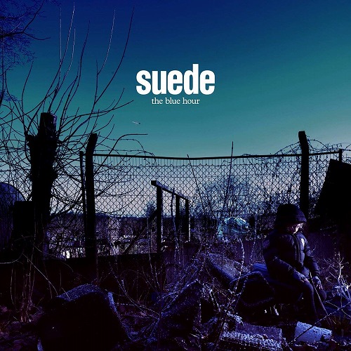 SUEDE / スウェード / THE BLUE HOUR