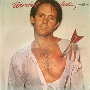 ピーターアイバース　PETER IVERS セルフタイトル LP TERMINAL LOVE/PETER IVERS (PETER IVERS' BAND)/ピーター・アイ