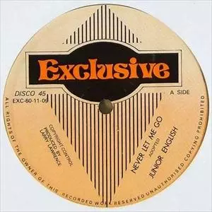 JUNIOR ENGLISH / NEVER LET ME GO