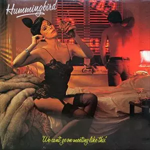HUMMINGBIRD / ハミングバード / WE CAN'T GO ON MEETING LIKE THIS