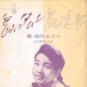 MIDORI TASHIRO / 田代みどり商品一覧｜PROGRESSIVE ROCK