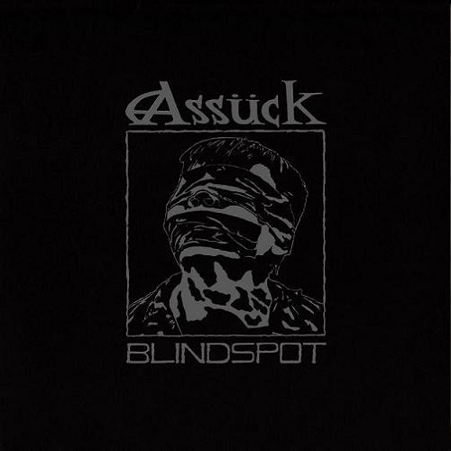 assuck / discography