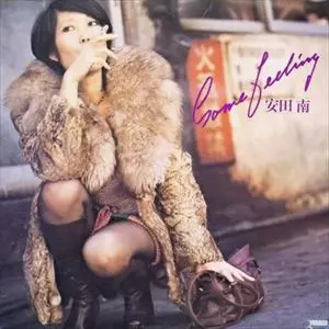 LP 安田南 – Some Feeling 安田南 MINAMI YASUDA / サム・フィーリング SOME FEELING (LP