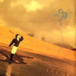 瞳水晶/MIMORI YUSA/遊佐未森｜日本のロック｜ディスクユニオン