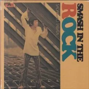 スマッシュ・イン・ザ・ロック/SADAKAZU TABATA/田畑貞一｜日本の