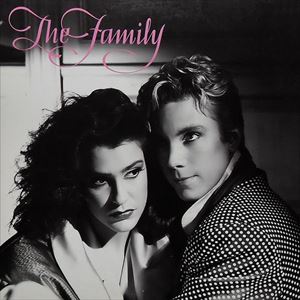 FAMILY / FAMILY (SOUL from MINNEAPOLIS) / THE FAMILY