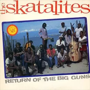 SKATALITES商品一覧/LP(レコード)/中古在庫あり/並び順:中古価格が高い
