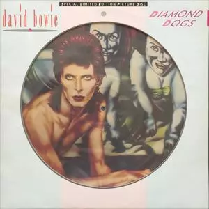 DIAMOND DOGS/DAVID BOWIE/デヴィッド・ボウイ｜OLD ROCK