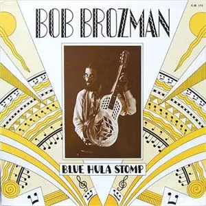 Bob Brozman In Concert 最高のスライドギターリスト！