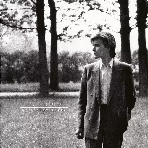BRILLIANT TREES (LP/180G) /DAVID SYLVIAN/デヴィッド・シルヴィアン