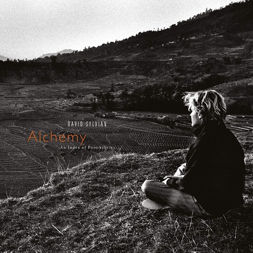 DAVID SYLVIAN / デヴィッド・シルヴィアン / ALCHEMY: AN INDEX OF POSSIBILITIES (LP/180G) 
