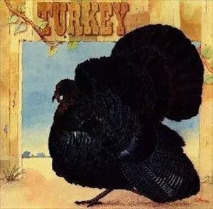 WILD TURKEY / ワイルド・ターキー / TURKEY