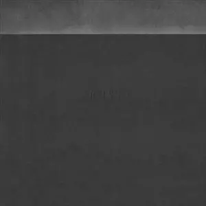 ICTUS (PUNK) / イクタス / DISCOGRAPHY