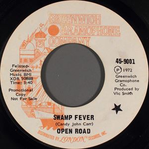 OPEN ROAD / オープン・ロード / SWAMP FEVER