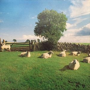 KLF / CHILL OUT