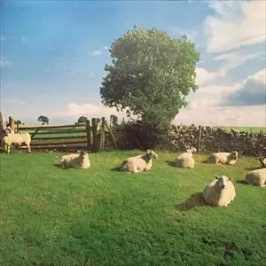 KLF / CHILL OUT