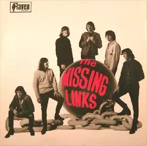 MISSING LINKS / ミッシング・リンクス商品一覧｜LATIN/BRAZIL