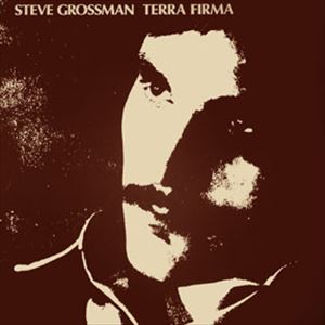 STEVE GROSSMAN / スティーヴ・グロスマン / TERRA FIRMA