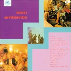 SOM AMBIENTE / ソン・アンビエンチ