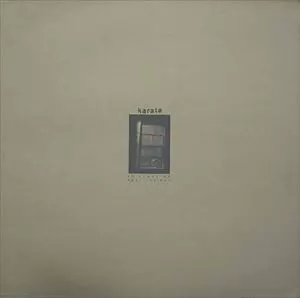 KARATE / カラテ / IN PLACE OF REAL INSIGHT