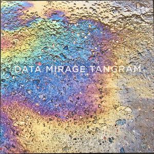 YOUNG GODS / ヤング・ゴッズ / DATA MIRAGE TANGRAM