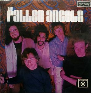FALLEN ANGELS (60'S US GARAGE/PSYCHE) / FALLEN ANGELS