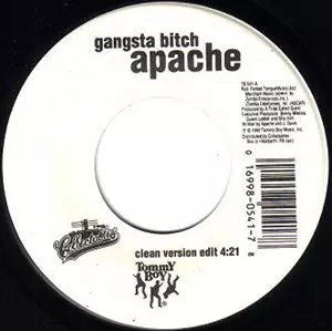 GANGSTA BITCH 7