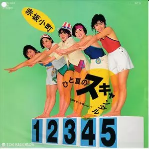 赤坂小町 CD 赤坂小町 [ CD ] 1996年発売→即回収→廃番のレアなCD - メルカリ