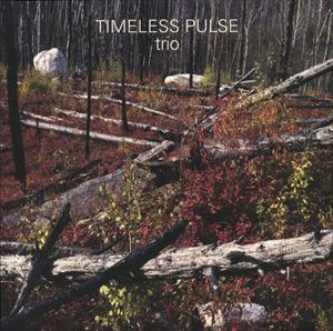 TIMELESS PULSE / タイムレス・パルス / TRIO