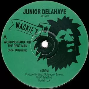JUNIOR DELAHAYE / WORKING HARD FOR~レゲエ JUNIOR DELAHAYE / WORKING HARD FOR~レゲエ