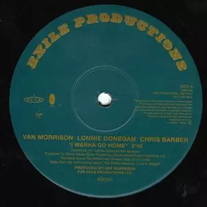 VAN MORRISON / ヴァン・モリソン / I WANNA GO HOME