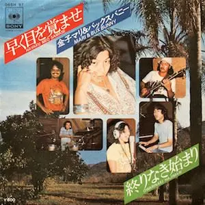 Amazon.co.jp: オマケ付 和RARE GROOVE最高峰 金子マリ&BUX