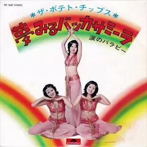 ポテト・チップス商品一覧｜JAPANESE ROCK・POPS / INDIES｜ディスク