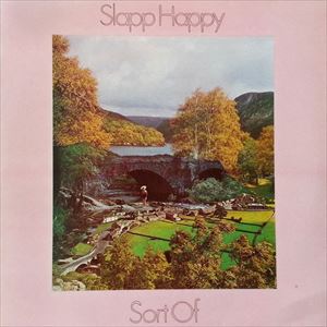 SLAPP HAPPY / スラップ・ハッピー / SORT OF
