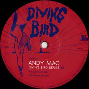 ANDY MAC / DIVING BIRD SERIES #2