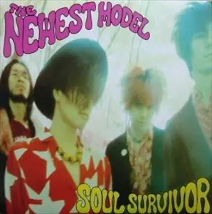 NEWEST MODEL / ニューエスト・モデル / SOUL SURVIVOR