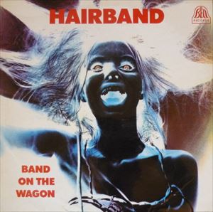 HAIRBAND / BAND ON THE WAGON