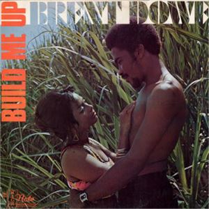 BRENT DOWE / BUILD ME UP